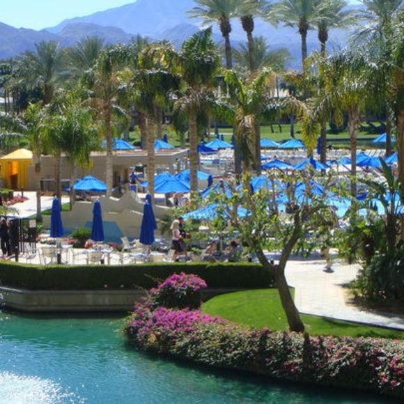 Meet your Posher, Faisal - Picture 1 of 1